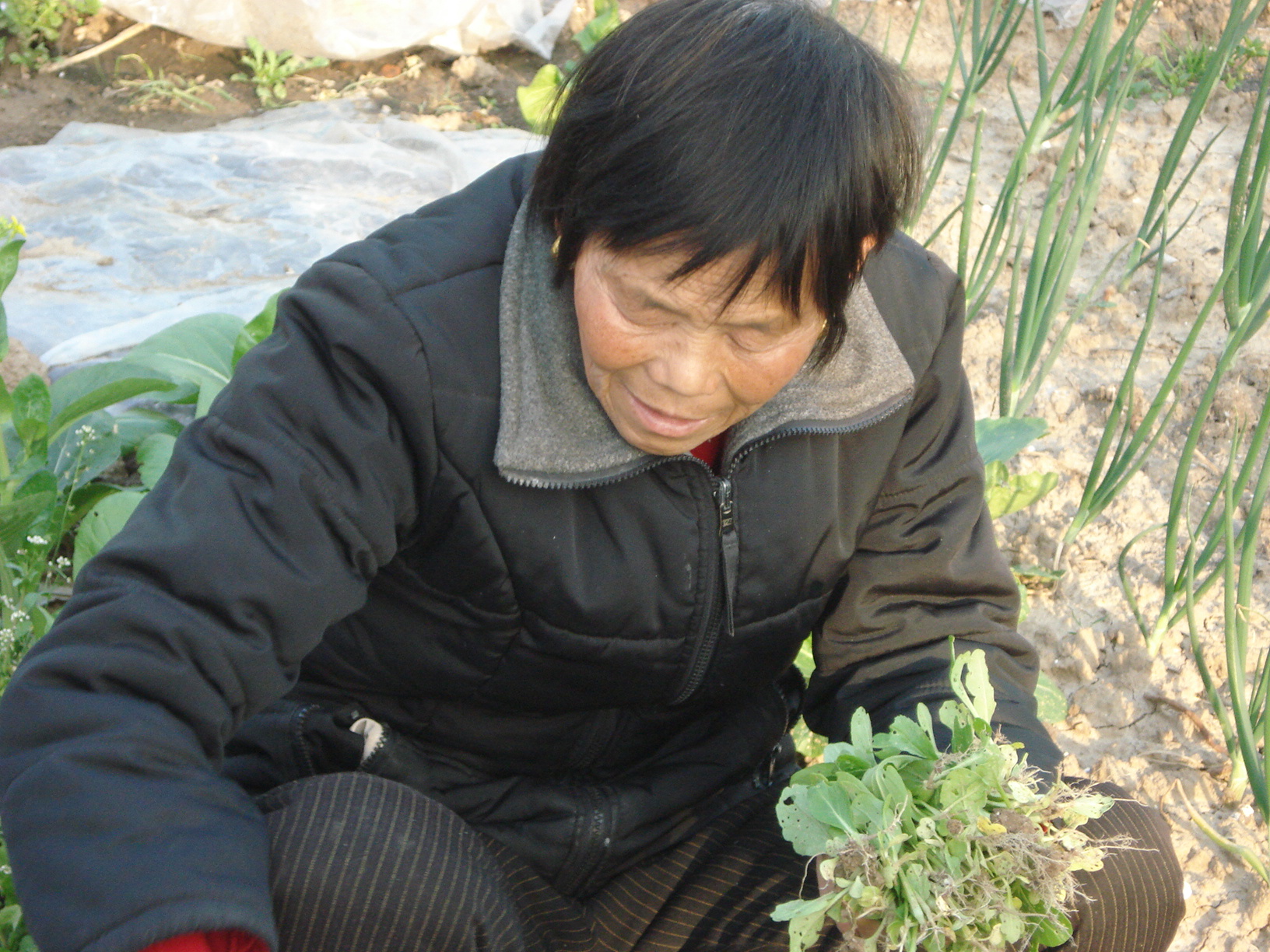 王慧芳