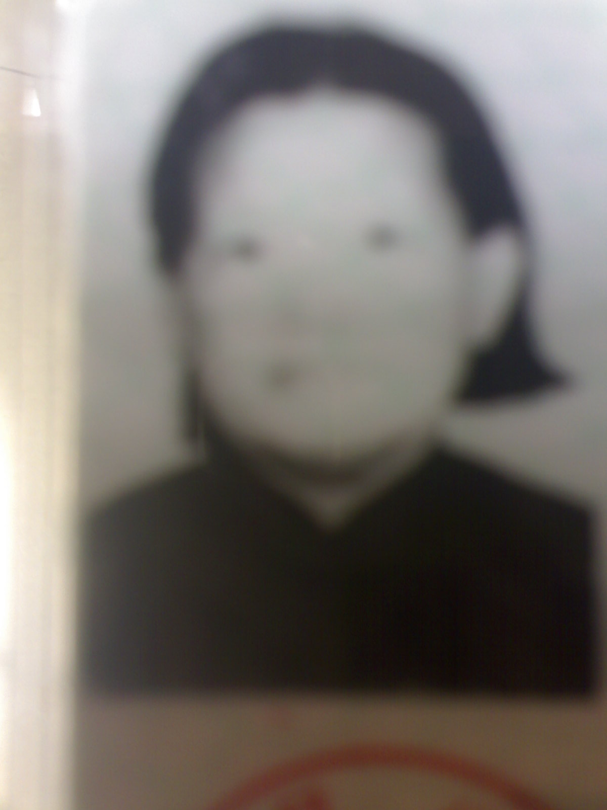 郝氏春梅