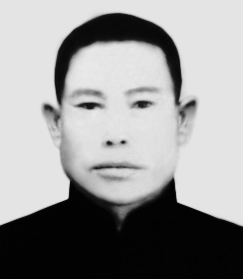 雷木法
