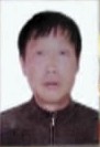 龙培华