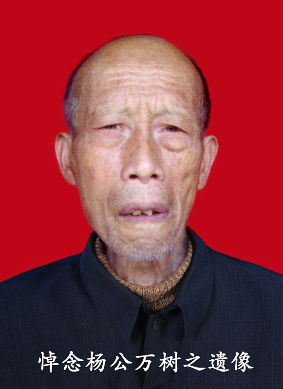 杨公讳万树大人