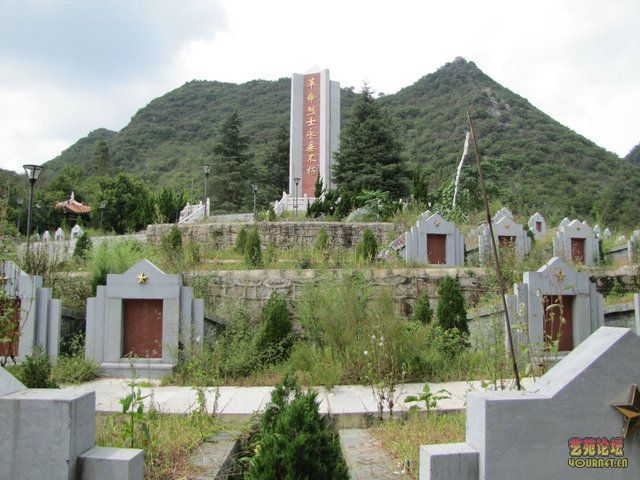 战友情