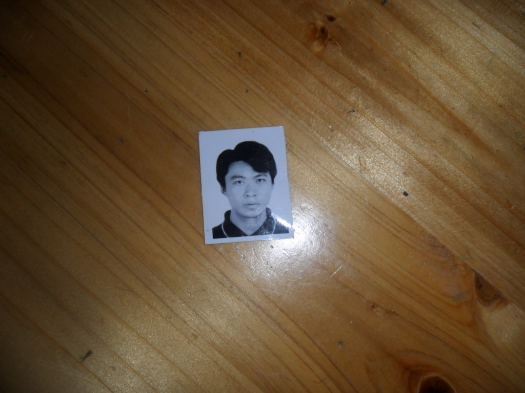 杨力