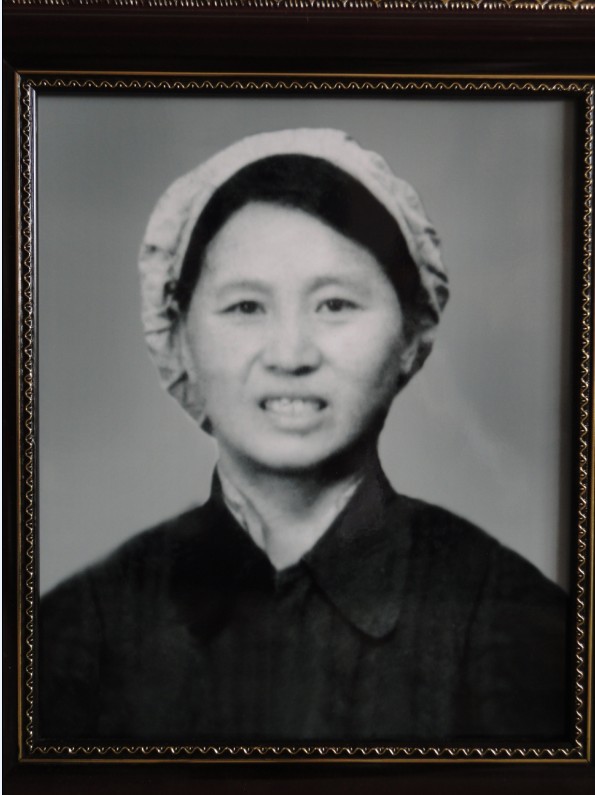 杨同菊