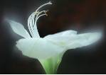 王卫民