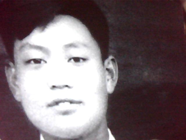 董至光