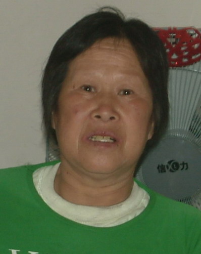 何竹引