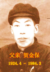 贺金保