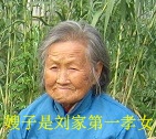 王其珍