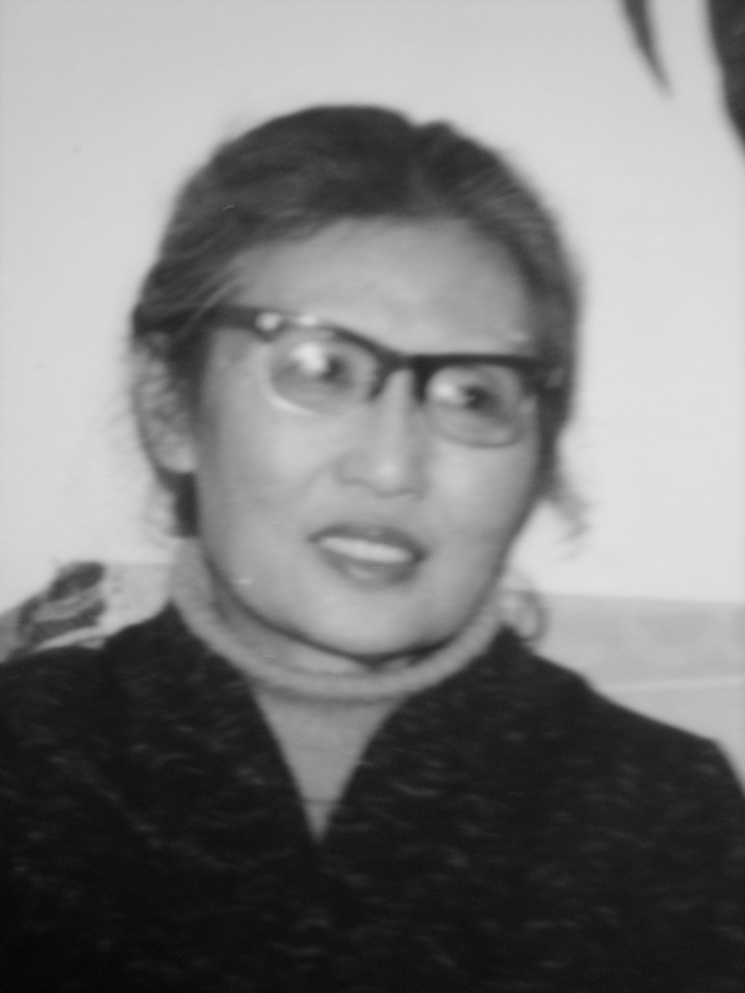 胡春满