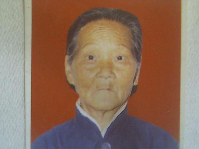 叶子