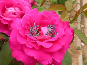 u=1676535357,1715080983&fm=21&gp=0.jpg u=1676535357,1715080983&fm=21&gp=0.jpg