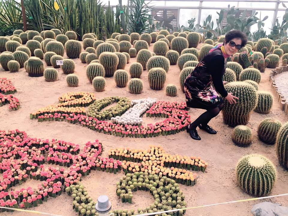 老妈.jpg 老妈.jpg