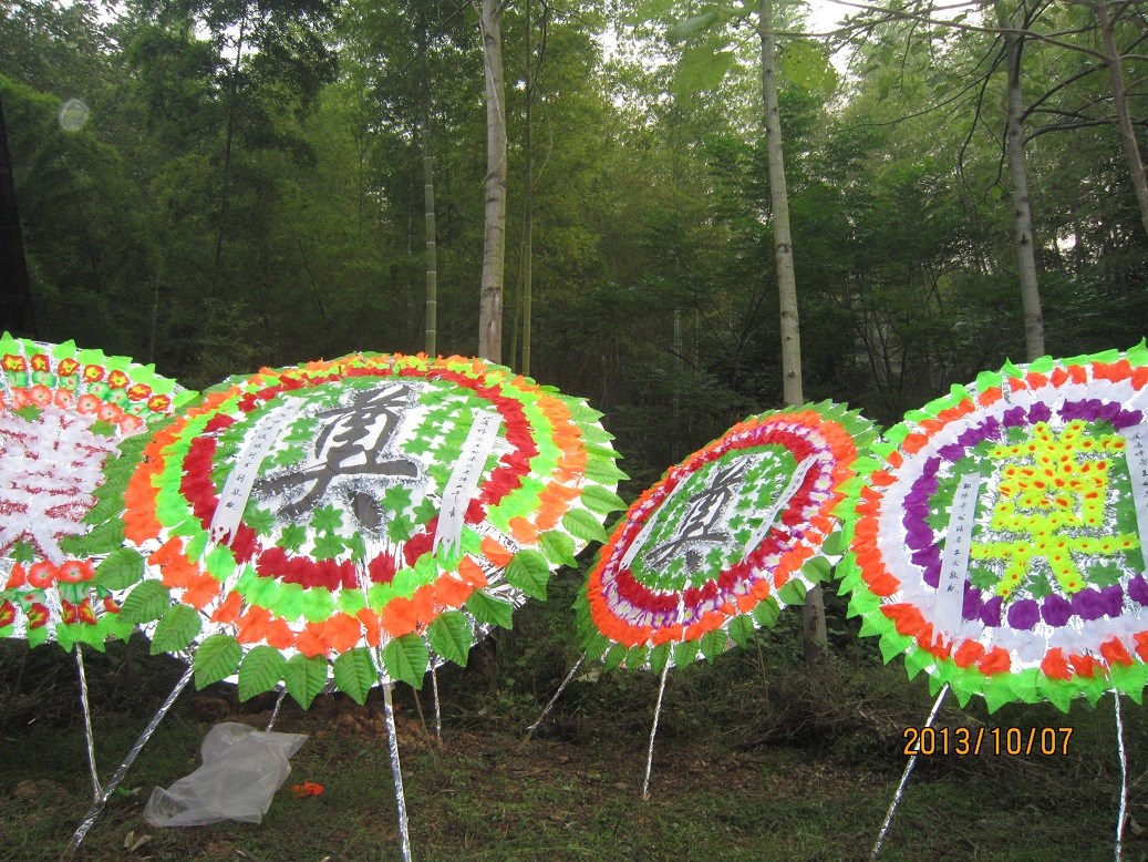 IMG_5215-1.jpg IMG_5215-1.jpg